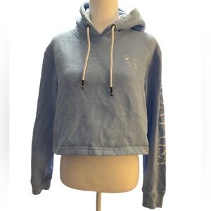 GOAT USA Cropped Hoodie Light Blue Small